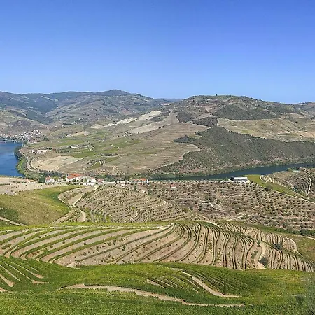 Casa Da Fonte Daire Tarouca