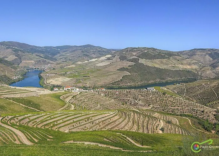 Casa Da Fonte Apartament Tarouca