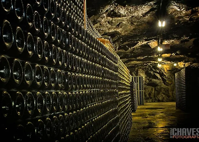 Casa Da Fonte Tarouca